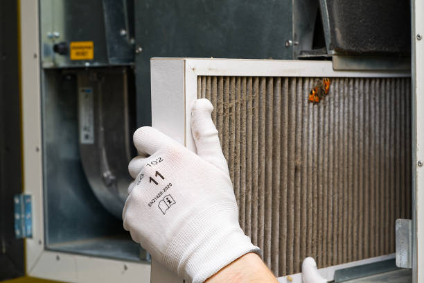 Best Air Duct Cleaning Near Me  in Kingsport, TN